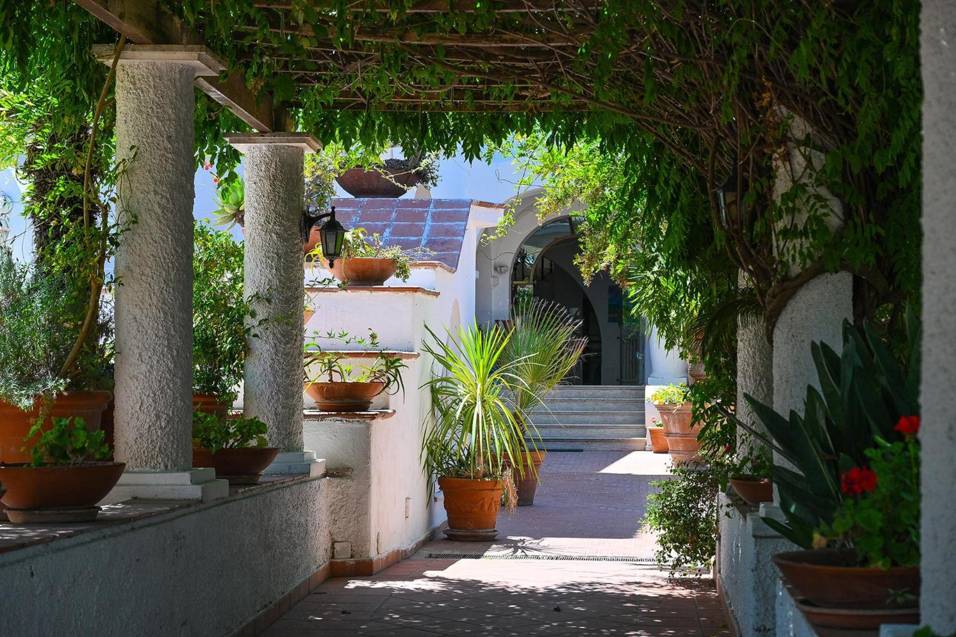 Av Club Terme Colella Hotel Forio di Ischia Kültér fotó