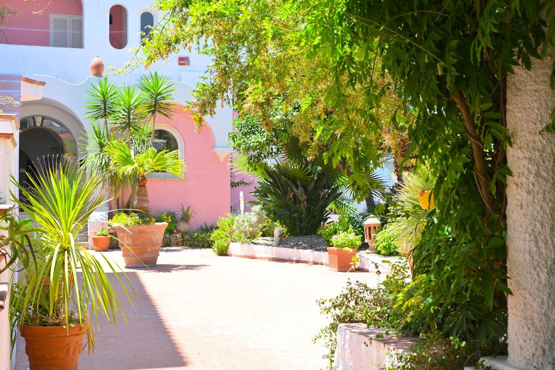 Av Club Terme Colella Hotel Forio di Ischia Kültér fotó