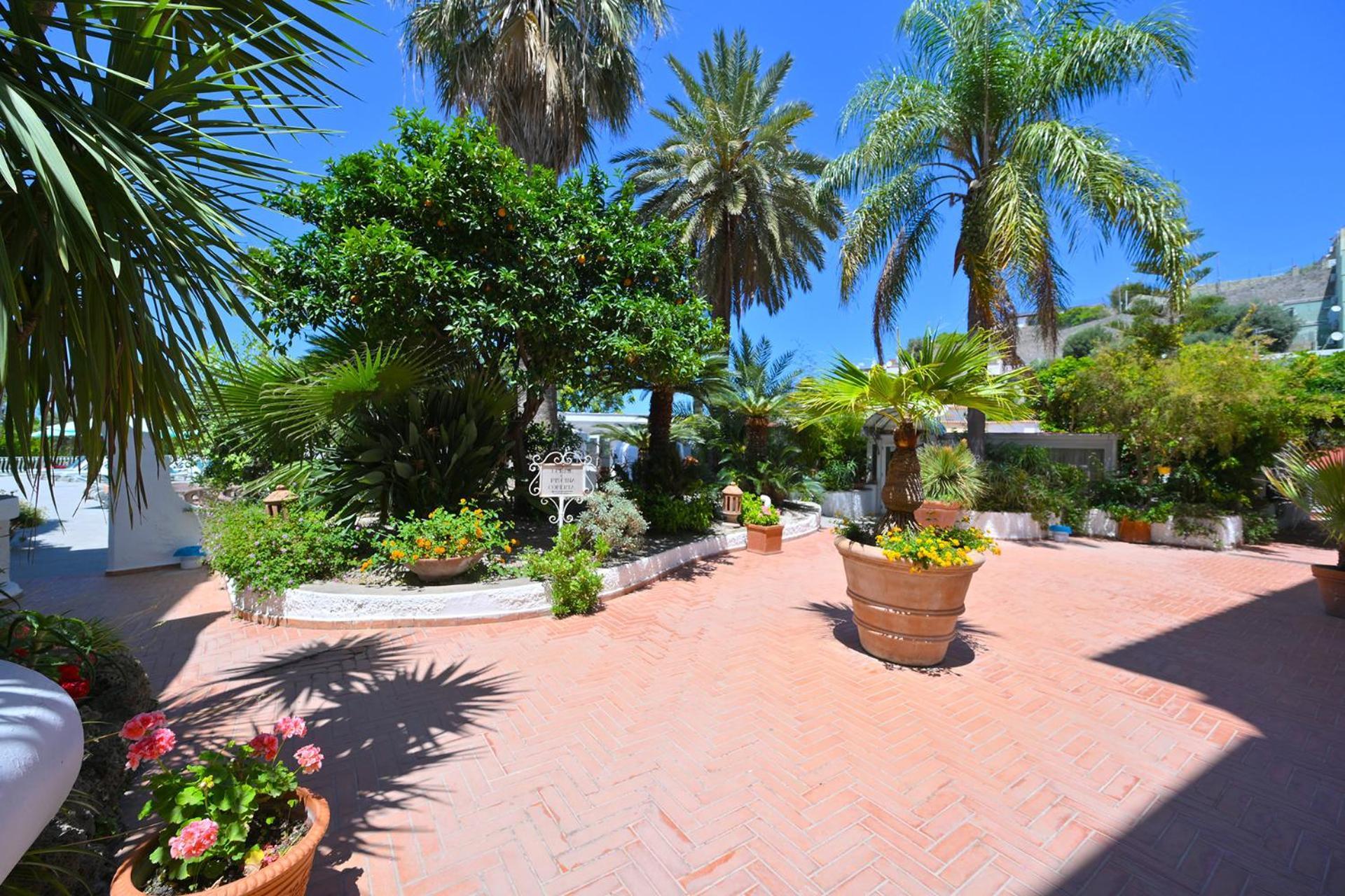 Av Club Terme Colella Hotel Forio di Ischia Kültér fotó